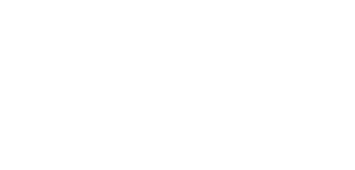 FacMesh